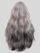 Load image into Gallery viewer, Ash Grey/Black Streaks Wig
